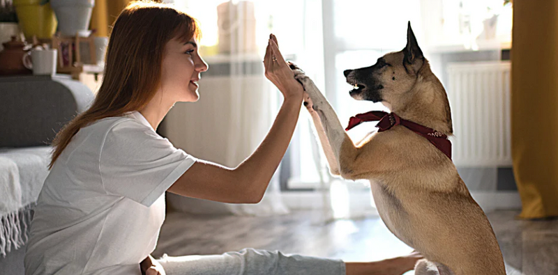 6. It’s the trending pet-care secret everyone is talking about