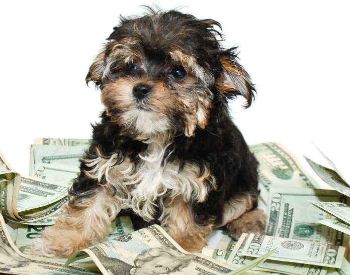 10. It comes with a risk-free 30-day money-back guarantee