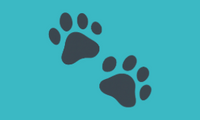 Pawshie